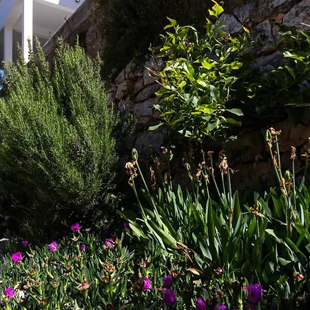 Marlea Sea-view 아파트